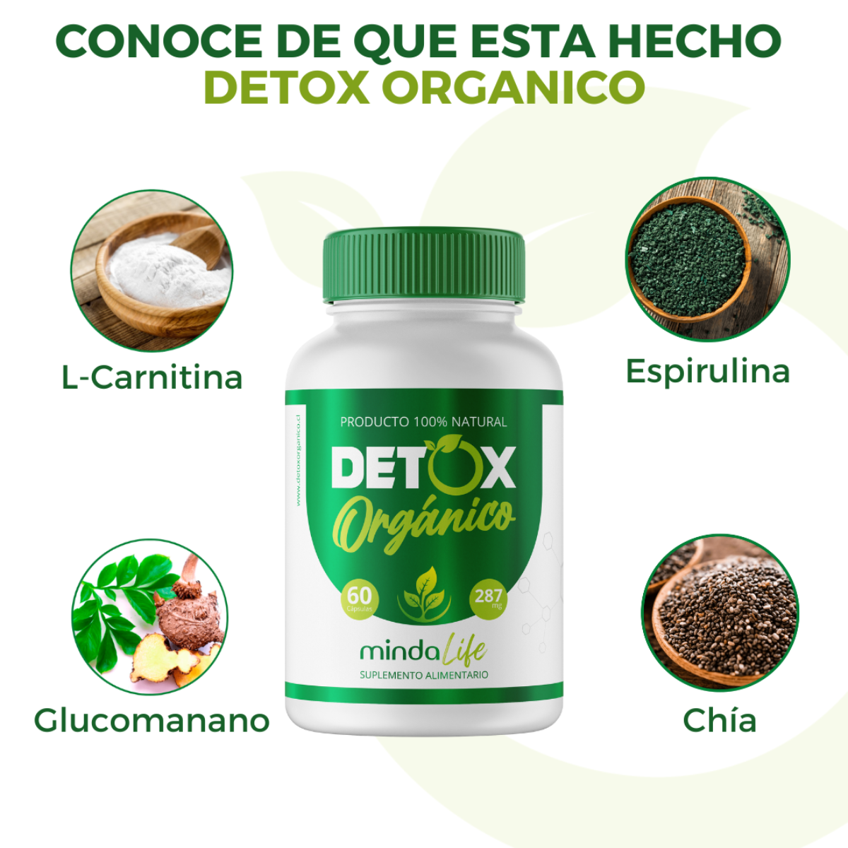 🍃 Kit Detoxificante + Detox Organico🍵 + Guía Nutricional 🎁