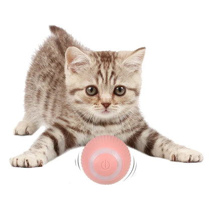 Powerball™ Pelota Interactiva Con Sonidos Usb para gatos