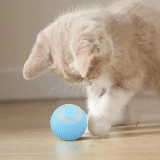 Powerball™ Pelota Interactiva Con Sonidos Usb para gatos