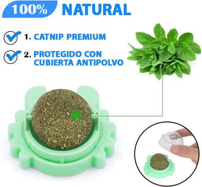 2X Felin Fun™ CATNIP HIERBA COMESTIBLE JUGUETE PARA GATO